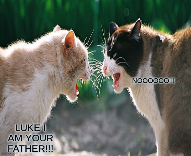 Luke I am your Father!! Imgflip