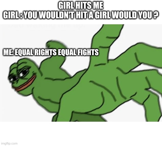 Equal rights Equal fights Imgflip
