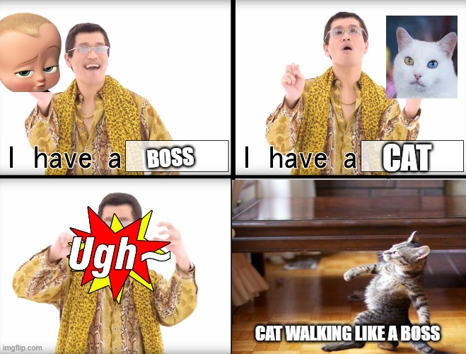 Image tagged in ppap,boss,cat,like a boss Imgflip
