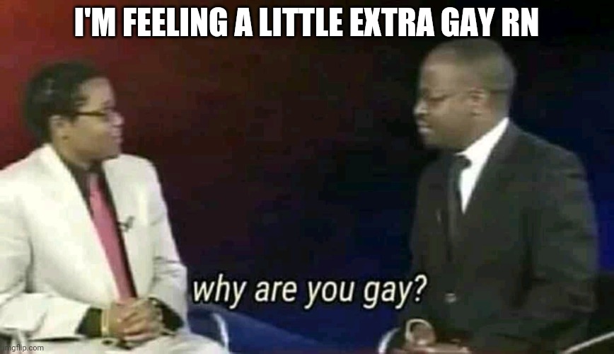 Why are you gay? Imgflip