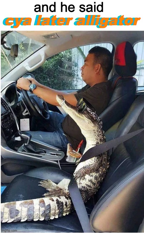 smooth 'gator Imgflip