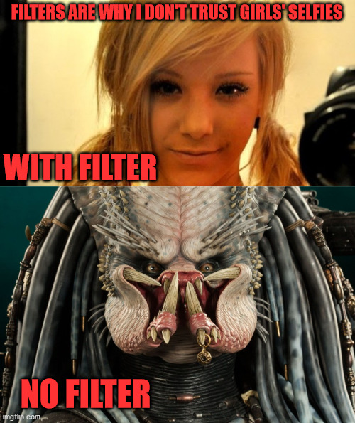 Filters are Lies Imgflip