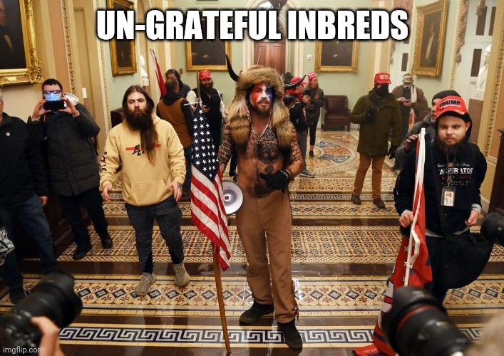 Image tagged in capitol buffalo guy Imgflip
