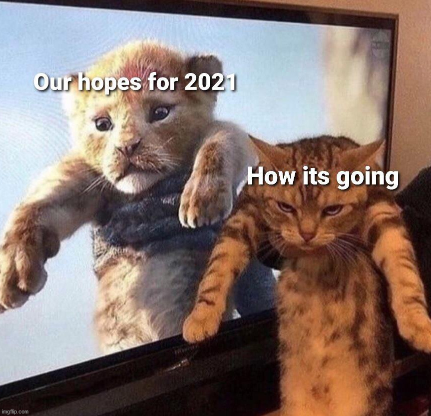 Funny Memes picture funny memes 2021 greetings images Doc Brown Meme