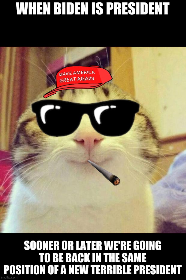 Smiling Cat Meme Imgflip
