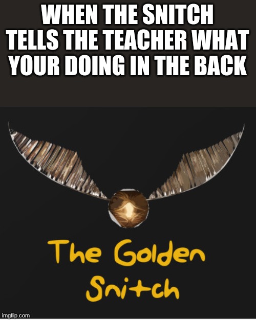 snitch Memes & GIFs Imgflip