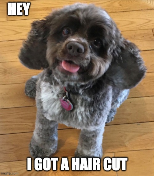 I got a haircut! Imgflip