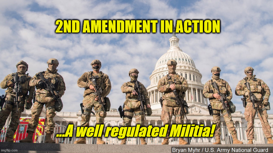 2nd Amendment in Action Imgflip