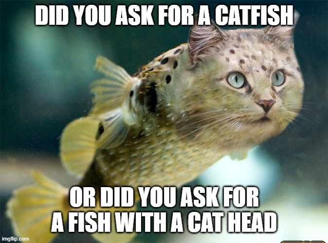 CatFish meme Imgflip