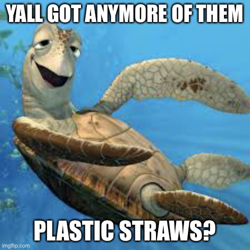 Image tagged in stoned turtle,new normal,memes,funny,plastic straws