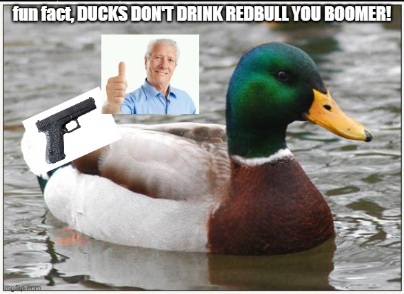 DUCKS Memes & GIFs Imgflip