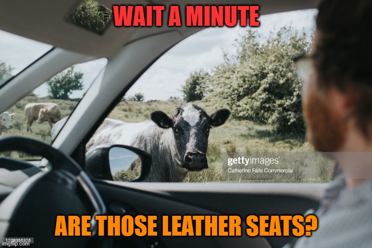 leather Memes & GIFs Imgflip