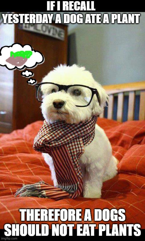 Dog making opinion on plant Imgflip