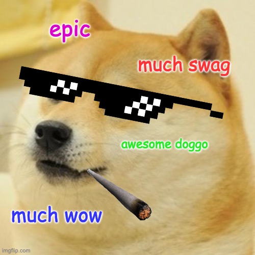 Doge Meme Imgflip