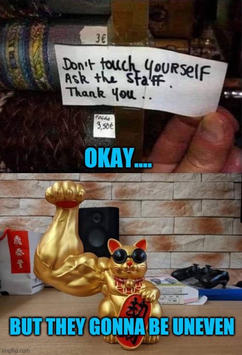 Just following the directions Imgflip