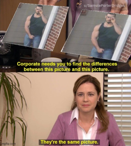 She Lies Not Imgflip