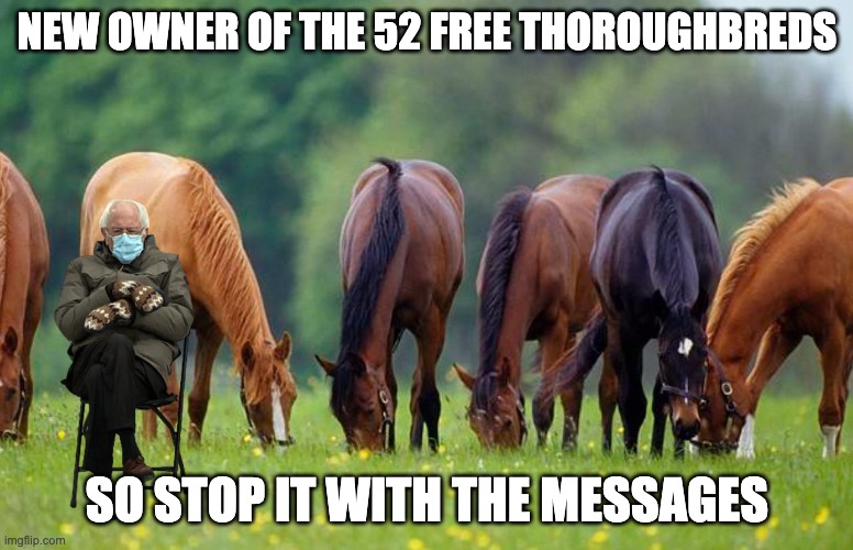 Bernie and the 52 Free Thoroughbreds Imgflip