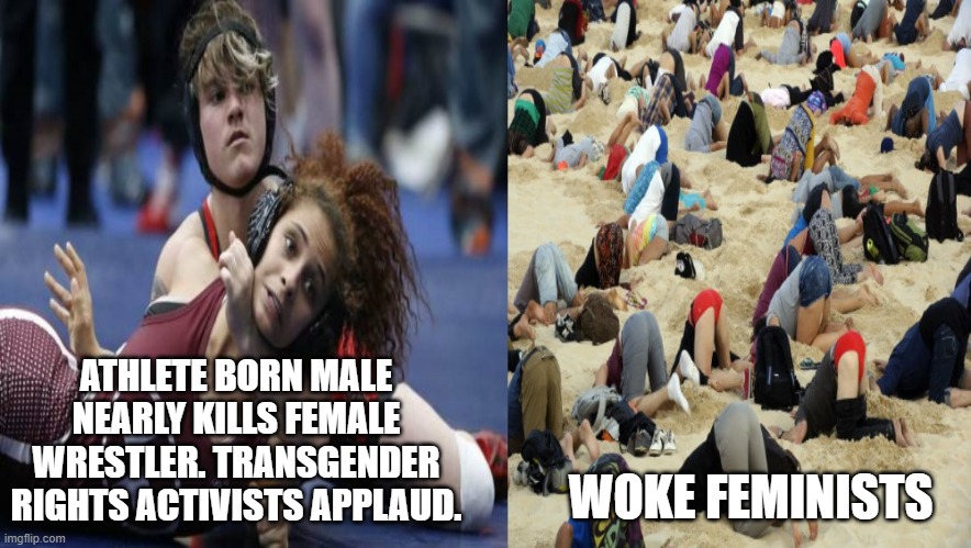 Is This Really Okay With You? Imgflip