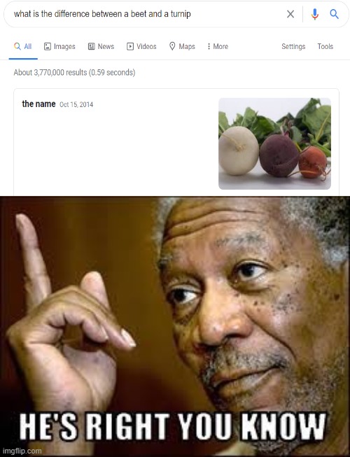 He's right ya know Imgflip