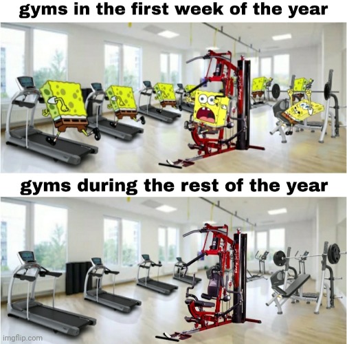 Image tagged in gym,spongebob Imgflip