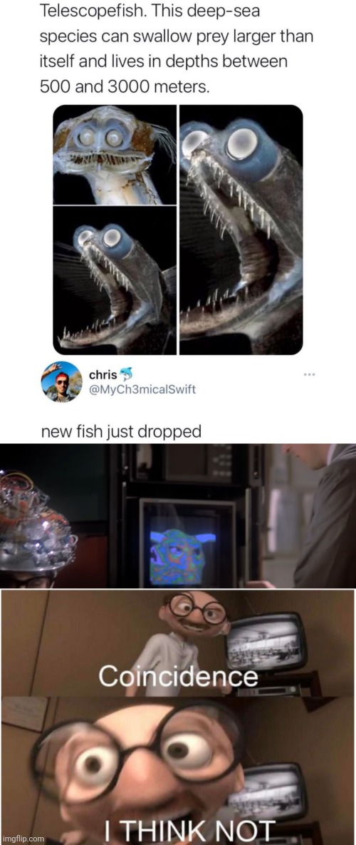 ghostbusters Memes & GIFs Imgflip