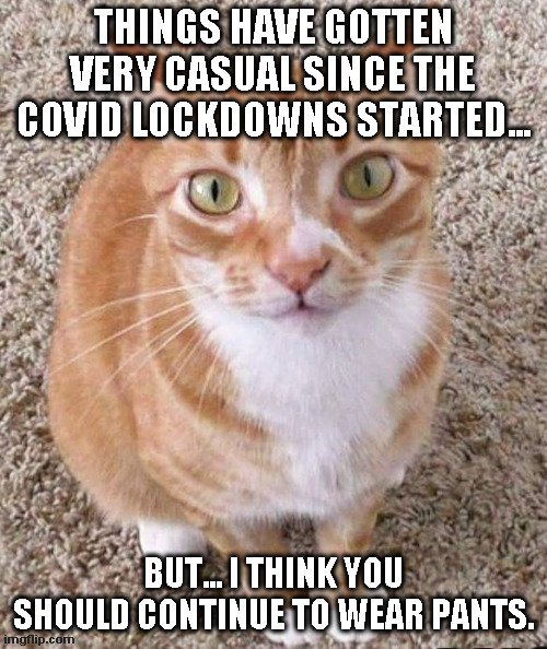 Pants... wear them Imgflip