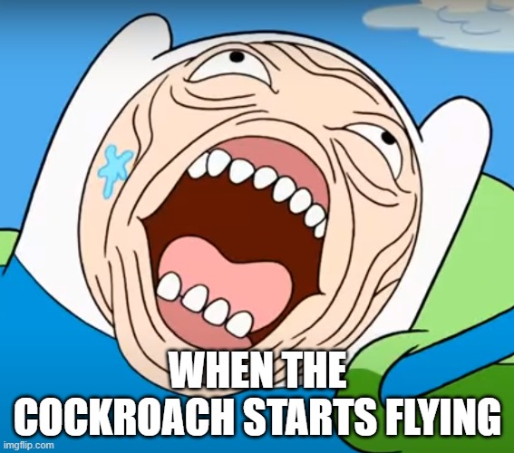 The FIRST "Finn's Face" meme! Imgflip