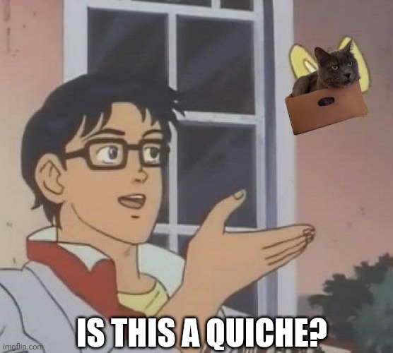 Is this a quiche? Imgflip
