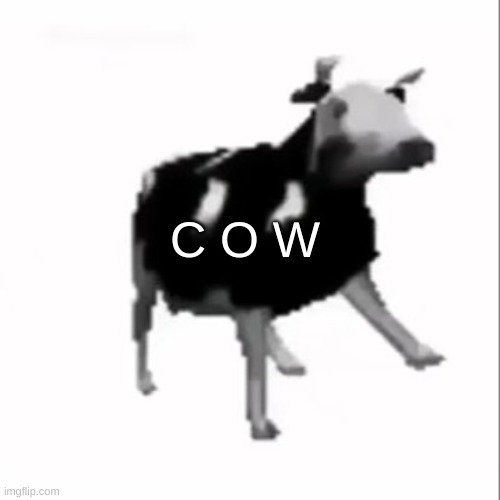 cow. Imgflip