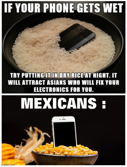 Image tagged in rice,cell phone,iphone,asian,mexicans,corn Imgflip