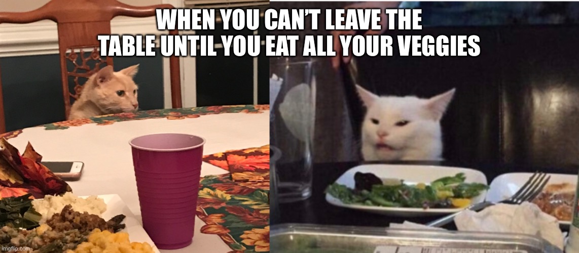 Cat Table Meme Template