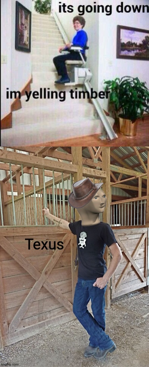 Image tagged in texus,timber,memes Imgflip