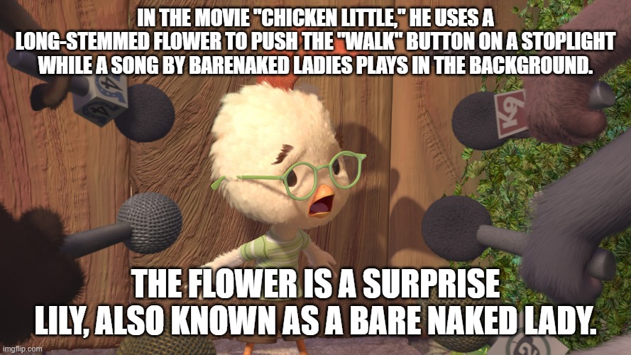 Chicken Little Imgflip
