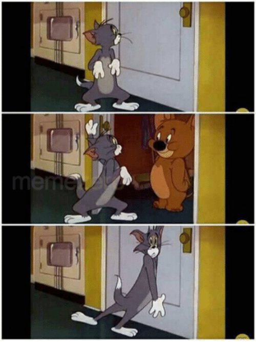 Tom Jerry Meme Door
