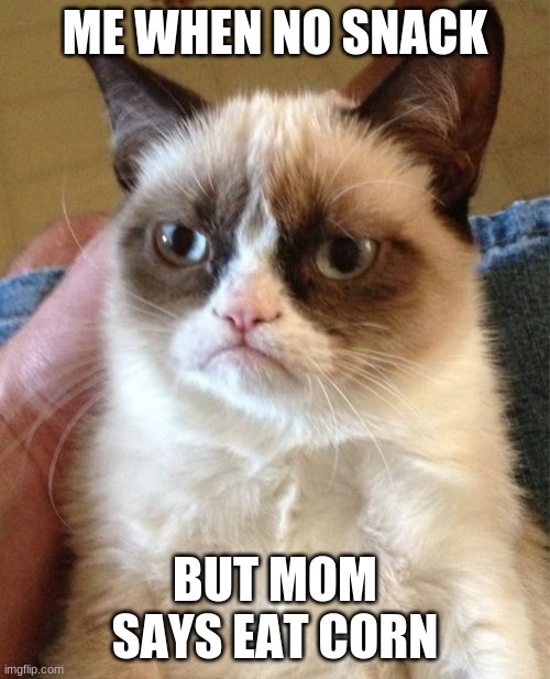 Grumpy Cat Meme Imgflip