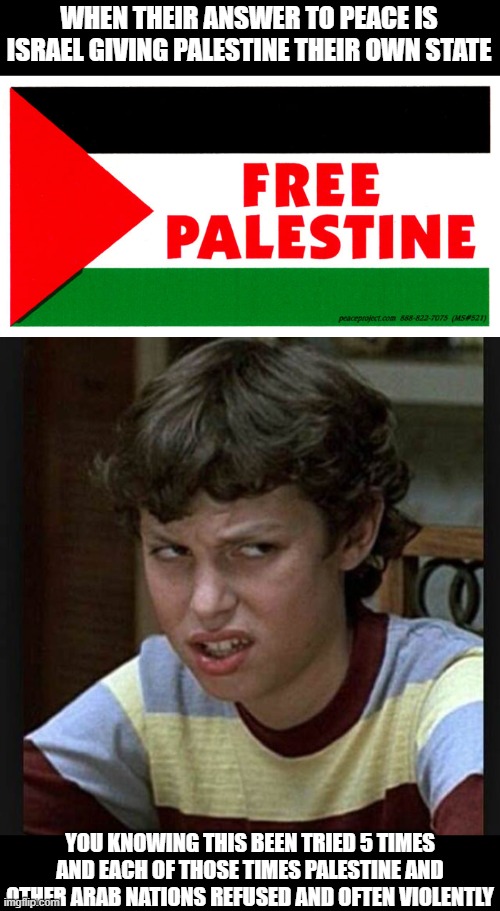 Image tagged in annoyed,free palestine,israel,tf,bruh,facts Imgflip