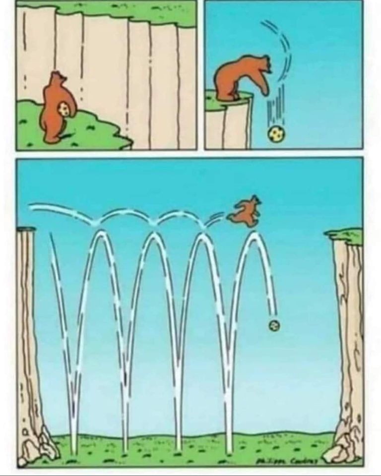 Bear ball cliff Blank Template Imgflip