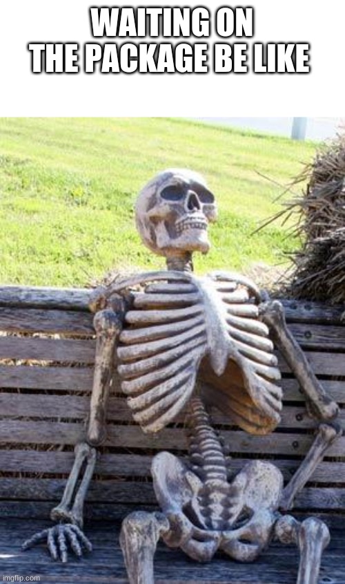 Waiting Skeleton Meme Imgflip