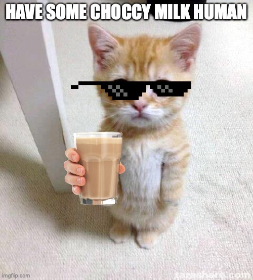 Cat With Milk On Face Meme WORDBLOG