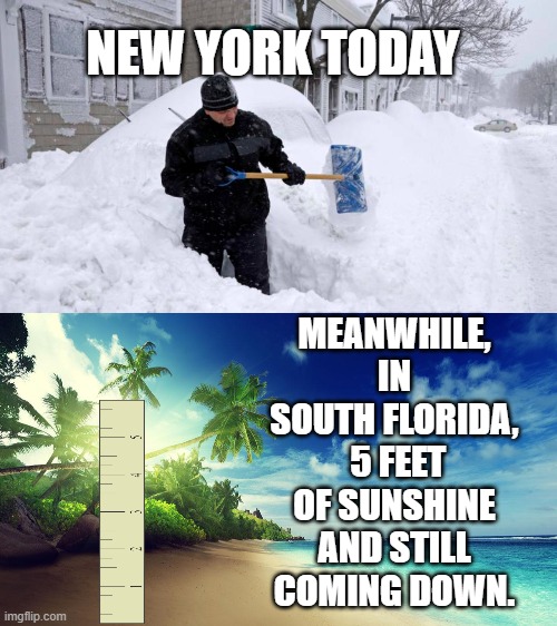 Florida vs New York Imgflip