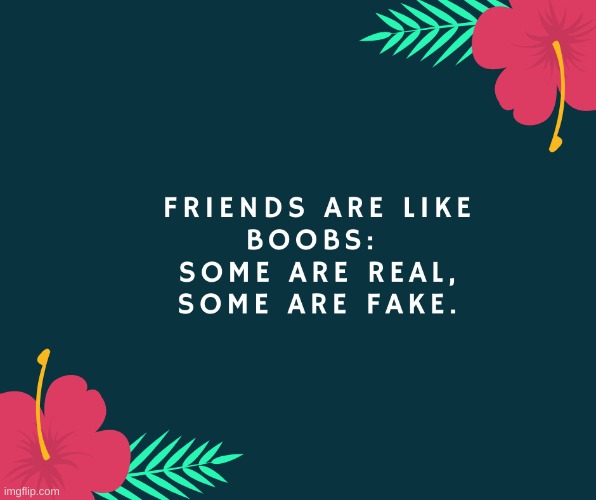 Real Friends Meme