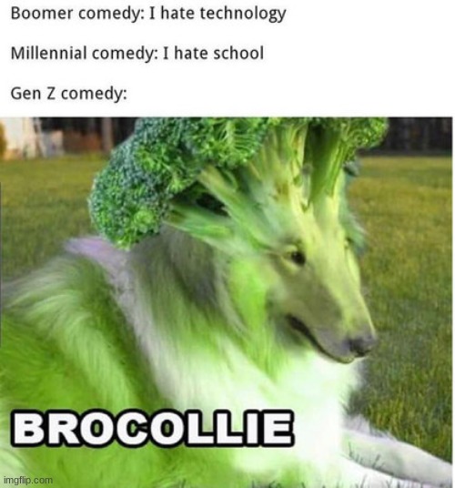 BROCOLLIE Imgflip
