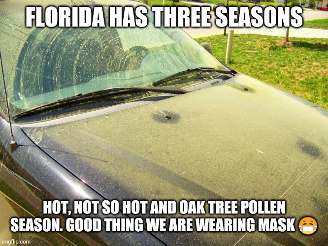 Pollen Covered Car Memes Imgflip