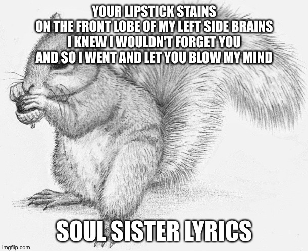 Soul sister lyrics (I LOVE THIS SONG) Imgflip