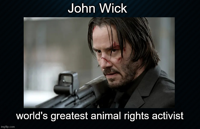 John Wick and animal rights Imgflip