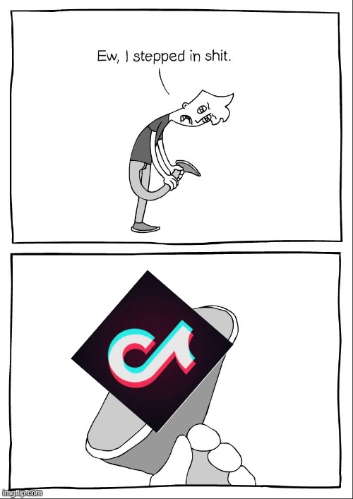 War_Against_Tik_Tok ew i stepped in shit Memes & GIFs Imgflip