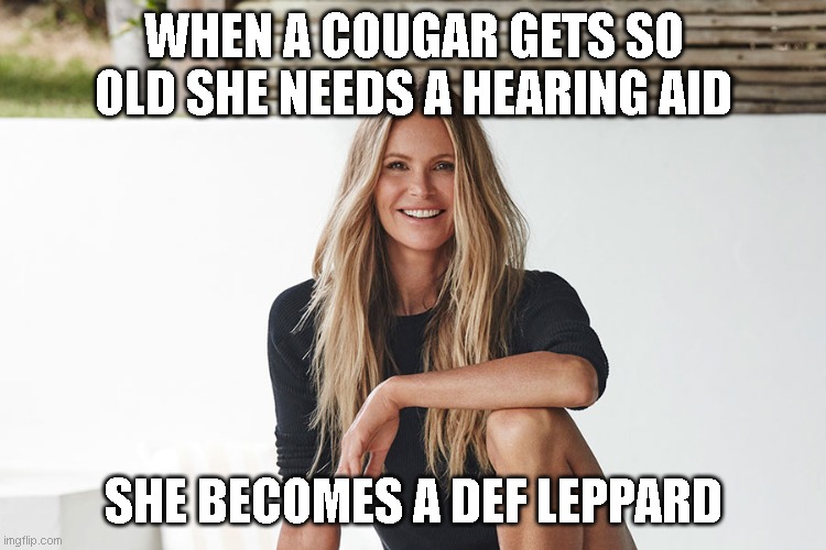 cougar Memes & GIFs Imgflip