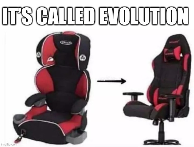 Evolution Imgflip