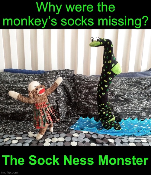 Some Will Say This Joke Socks Imgflip