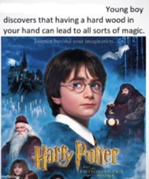 Image tagged in memes,funny,harry potter,pot Imgflip